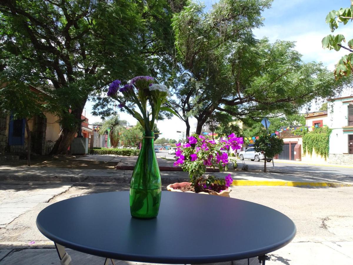 Alojamiento Jalatlaco - Car Rental! Estacionamiento En La Calle Sujeto A Disponibilidad Oaxaca Esterno foto